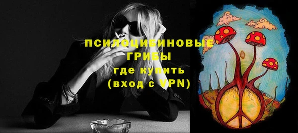 PSILOCYBIN Алзамай