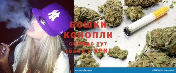 индика Абаза