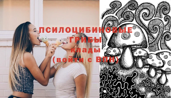 ECSTASY Нефтекумск
