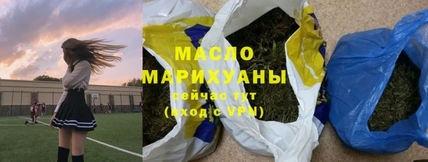 индика Абаза